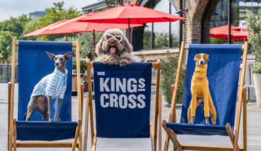 This Paw-fect Wellness Festival For Dogs Is Returning To London