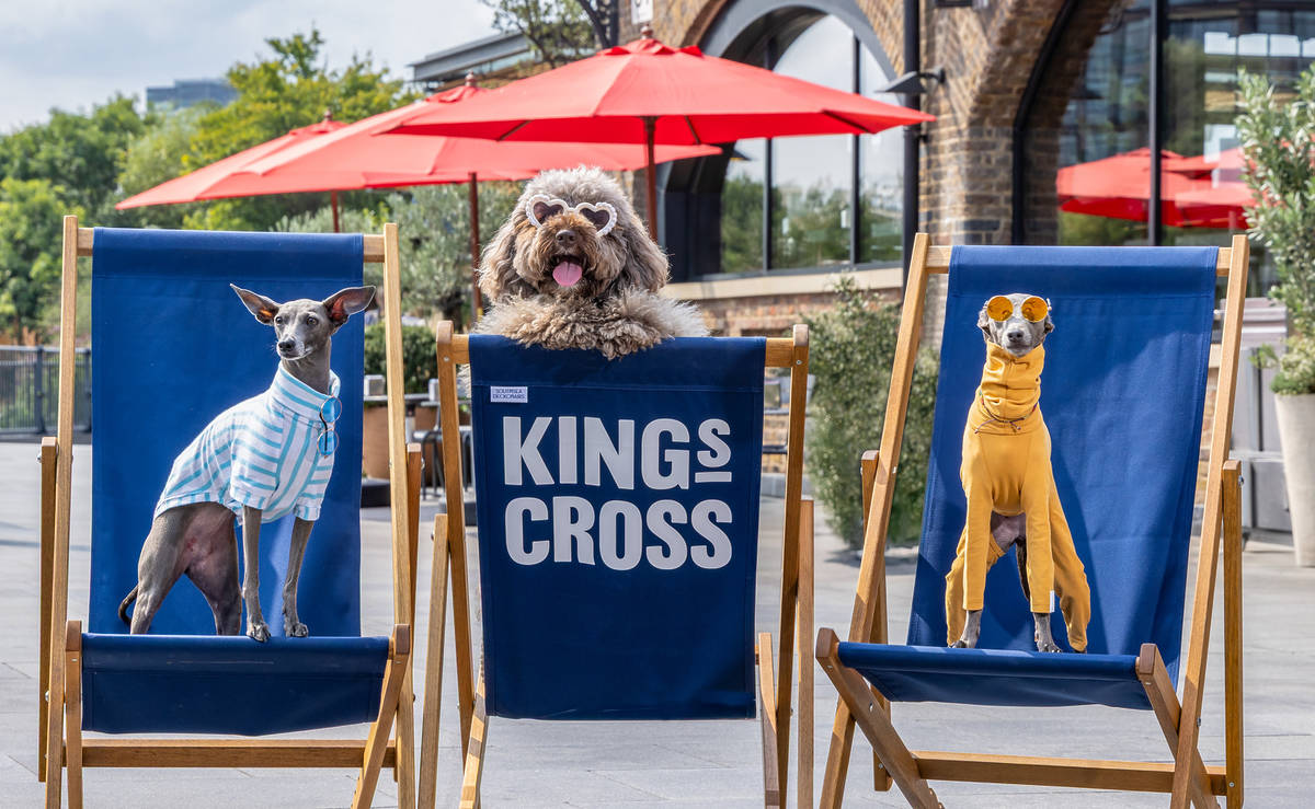 This Paw-fect Wellness Festival For Dogs Is Returning To London