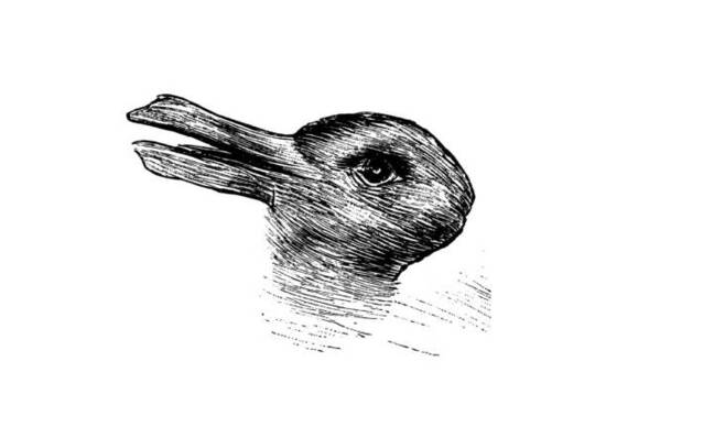 A duck that's also a rabbit