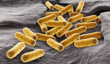 New “Evolution Engine” Can Mutate Target Genes 100,000 Times Faster Than Normal