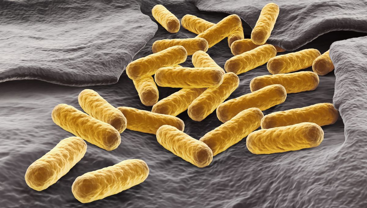 New “Evolution Engine” Can Mutate Target Genes 100,000 Times Faster Than Normal