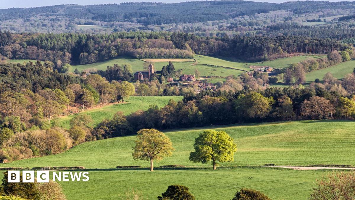 The image is a wide shot of the Surrey Hills. There are lots of trees. In the centre of the image are two green trees and, slightly behind them, buildings. The sun is shining on the grass.