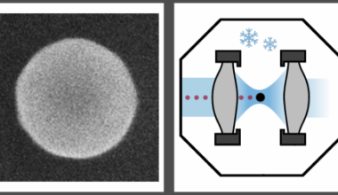 Unleashing the Quantumness of a Nanoparticle