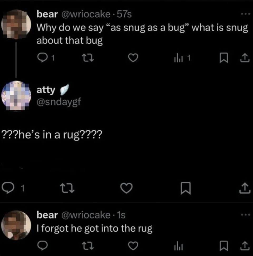 Tweet exchange joke about bugs being snug, with a follow-up acknowledging the bug is in a rug