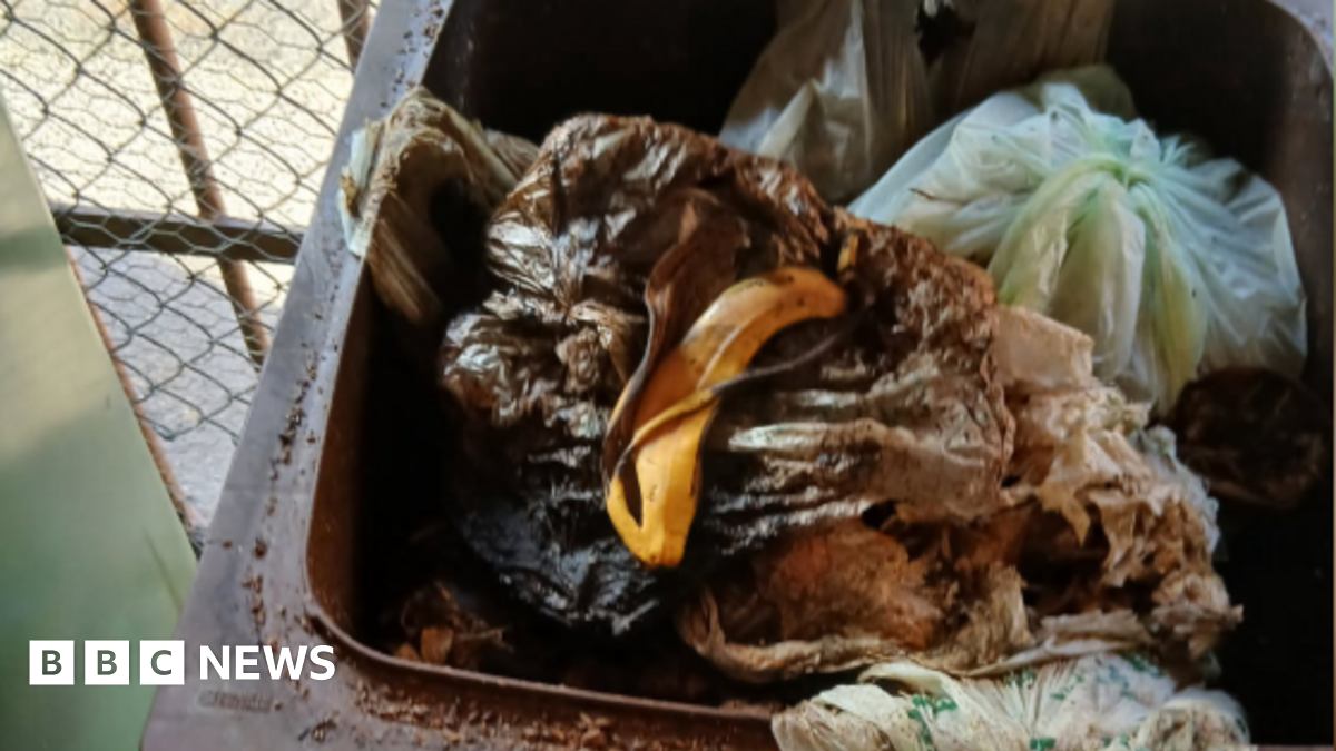 A full brown food waste bin showing rotting food spilling over the top, it is in a locked bin store separate from the street.