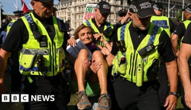 After mass arrests, what happens next with Palestine Action ban?