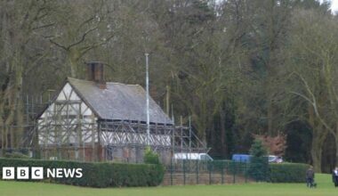 A black and white timber building covered in scaffolding is surrounded by hedges and trees in a park.