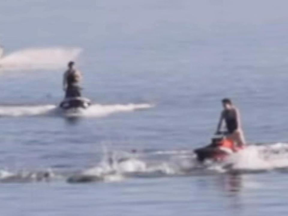 The two men were spotted on jet skis dangerously close to the dolphins. Picture: 7NEWS Adelaide