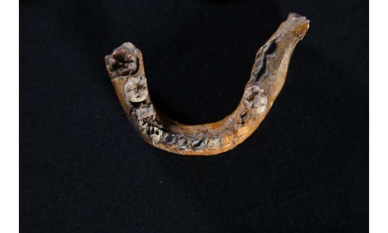 Earliest evidence discovered of interbreeding between Homo sapiens and Neanderthals