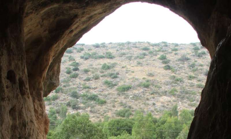 Earliest evidence discovered of interbreeding between Homo sapiens and Neanderthals