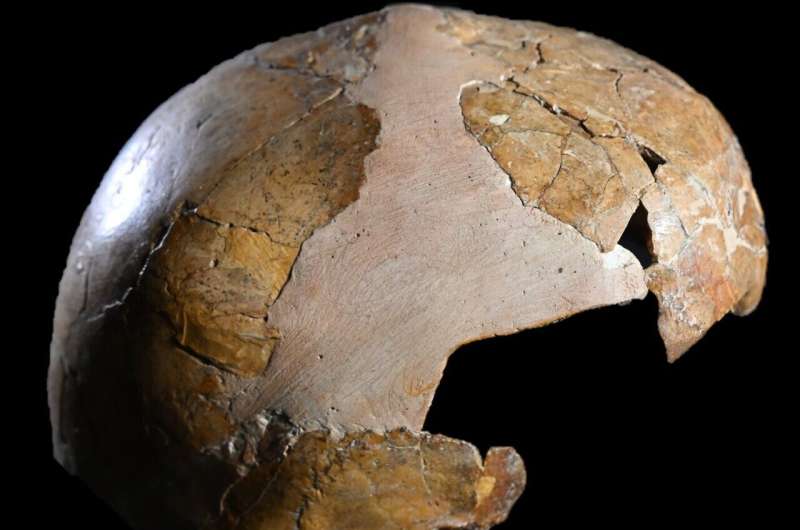 Earliest evidence discovered of interbreeding between Homo sapiens and Neanderthals