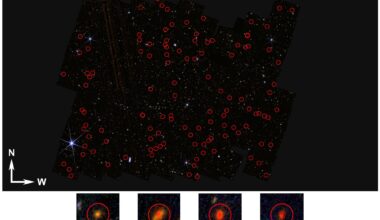Early galaxies—or something else? Webb uncovers 300 unusually bright objects