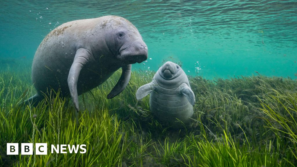 Photography exhibition on show at Jersey Zoo