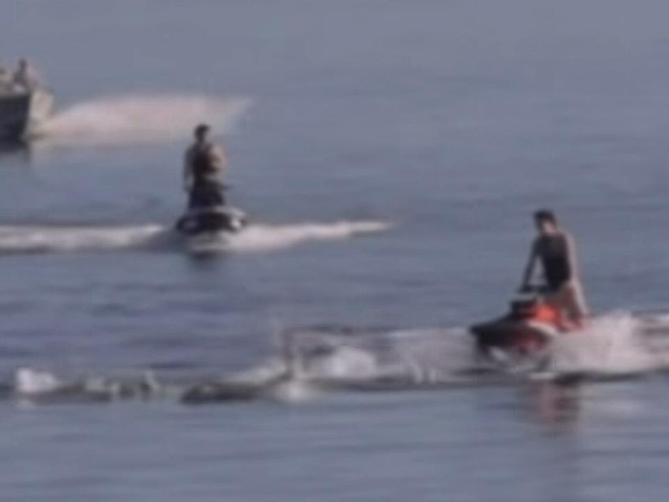 It is illegal for jet skis to be within 300m of marine mammals, including dolphins. Picture: 7NEWS Adelaide