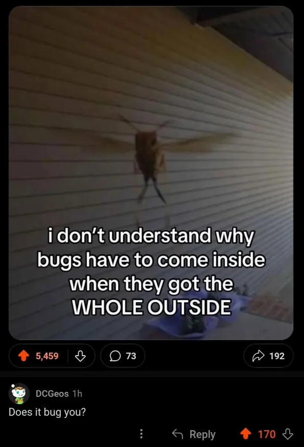 A flying bug indoors with text overlay reads: "I don't understand why bugs have to come inside when they got the whole outside."