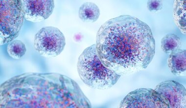 Cellular Identity and Epigenetic Noise in Immune Training