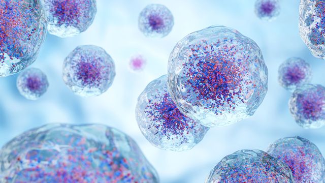 Cellular Identity and Epigenetic Noise in Immune Training
