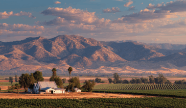 Emergent Connext takes on the rural connectivity challenge for agriculture