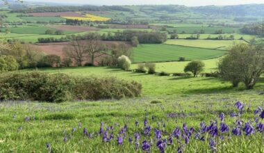 Herefordshire was voted the second best place for walks in the UK &lt;i&gt;(Image: Rightmove/Sunderlands)&lt;/i&gt;