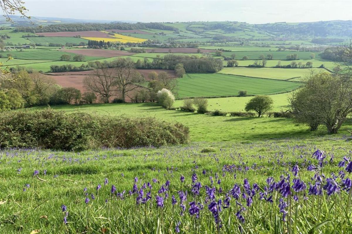Herefordshire was voted the second best place for walks in the UK &lt;i&gt;(Image: Rightmove/Sunderlands)&lt;/i&gt;