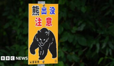 Close-up of a yellow sign warning of bear sightings in Japan, showing a drawing of a menacing black bear