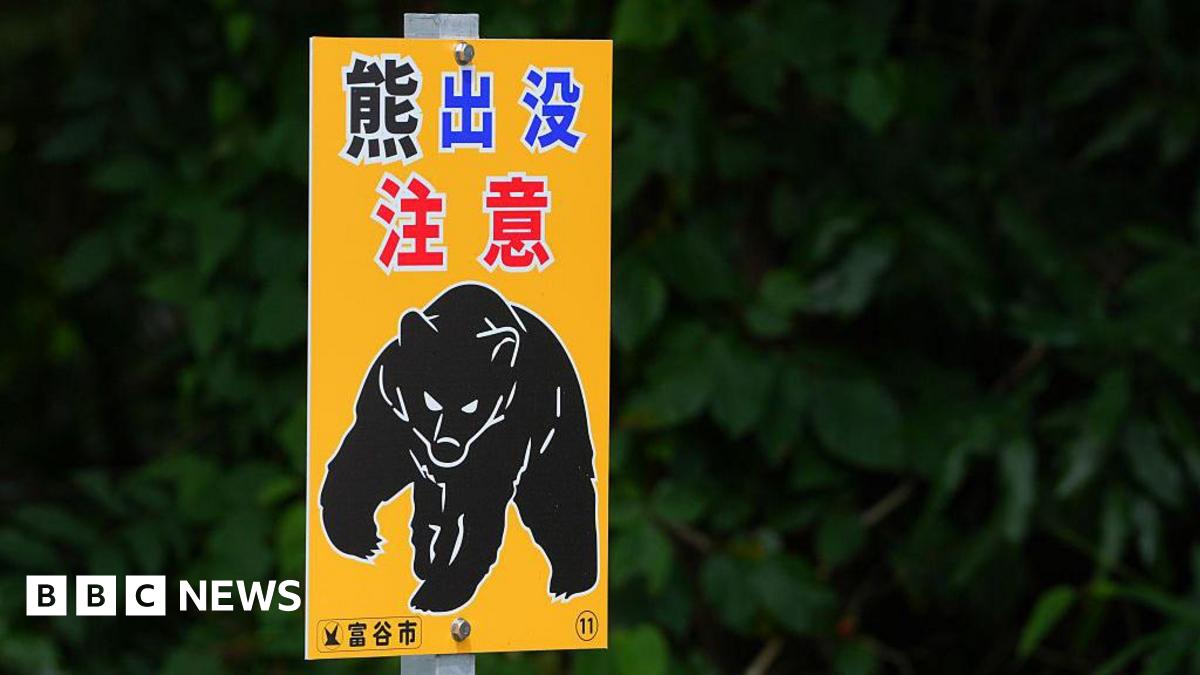 Close-up of a yellow sign warning of bear sightings in Japan, showing a drawing of a menacing black bear