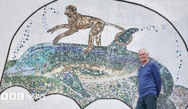 A man with grey hair and wearing a blue sweatshirt and dark blue jeans standing in front of a large mosaic, about four metres wide, showing a monkey riding on the back of a dolphin.