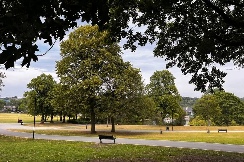 Hillsborough Park was a gorgeous spot to visit, especially in the sun -Credit:Lyra Auld
