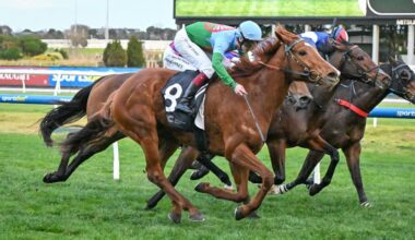 Yellow Sam changes ownership for $305k before Group 2 PB Lawrence Stakes at Caulfield