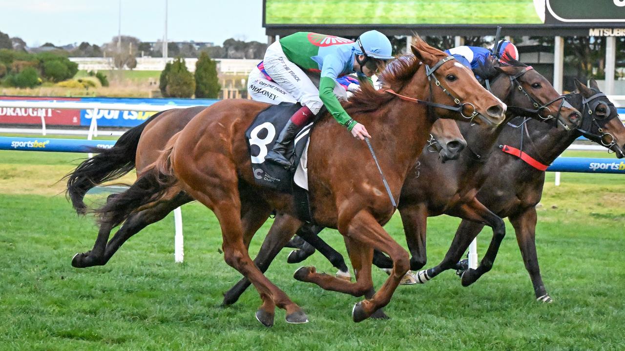 Yellow Sam changes ownership for $305k before Group 2 PB Lawrence Stakes at Caulfield