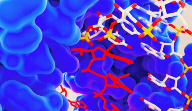 Scientists Create Ultimate Antiviral Using Rare "Superpower" Genetic Mutation
