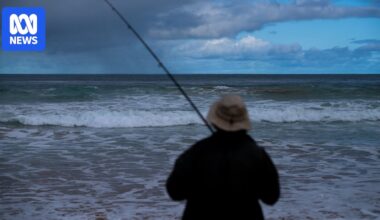 Algal bloom recreational fishing response includes plans for artificial reef and reservoirs
