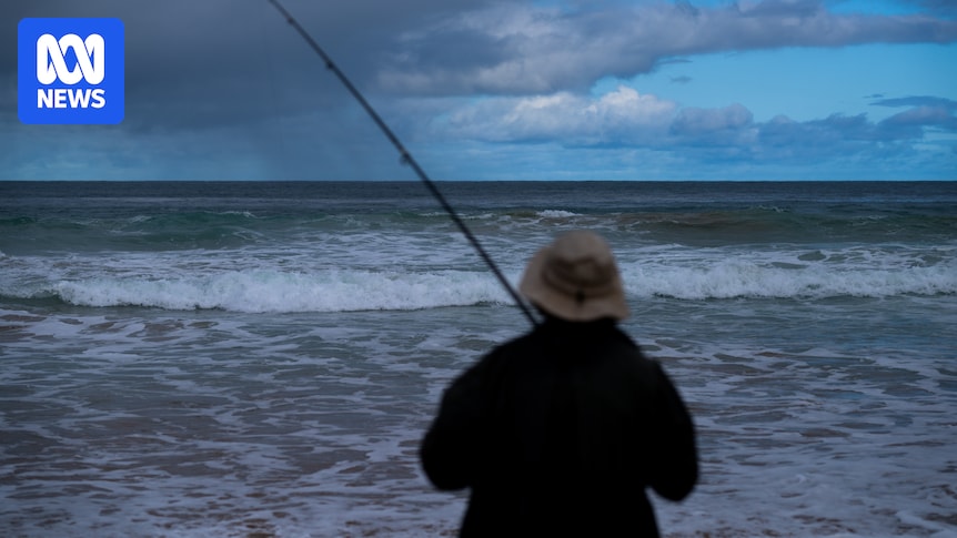 Algal bloom recreational fishing response includes plans for artificial reef and reservoirs