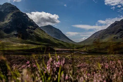 Peter Rimmer Pink heather is pictured in the foreground of a beautiful landscape at Fort William, a gorgeous valley stretching off, and a blue sky with just a few fluffy clouds.