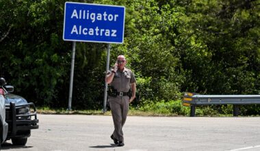 Understanding key terms swirling around Alligator Alcatraz and immigration enforcement in the US