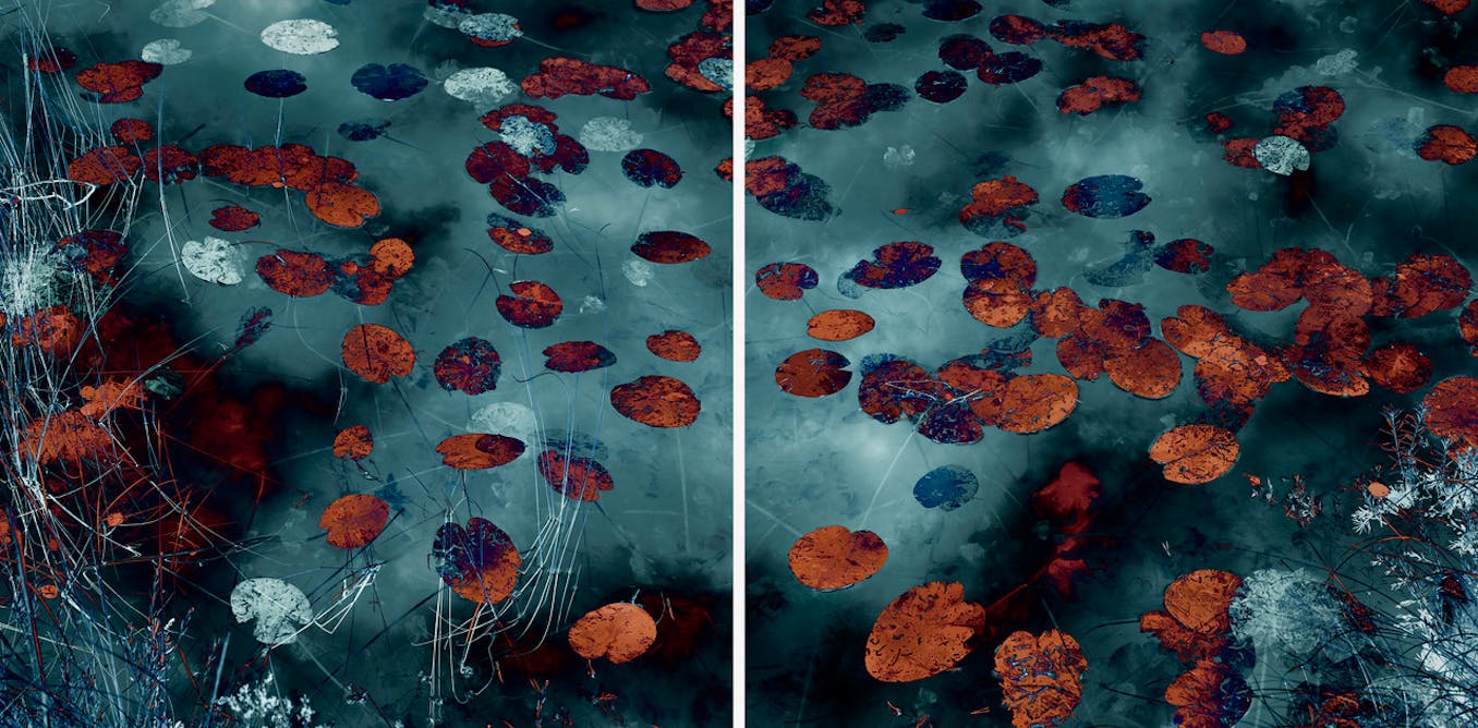 a luminous show that reveals the interconnectedness of nature