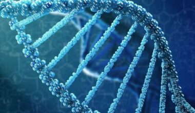 New Human Genome Map Could Transform Medicine