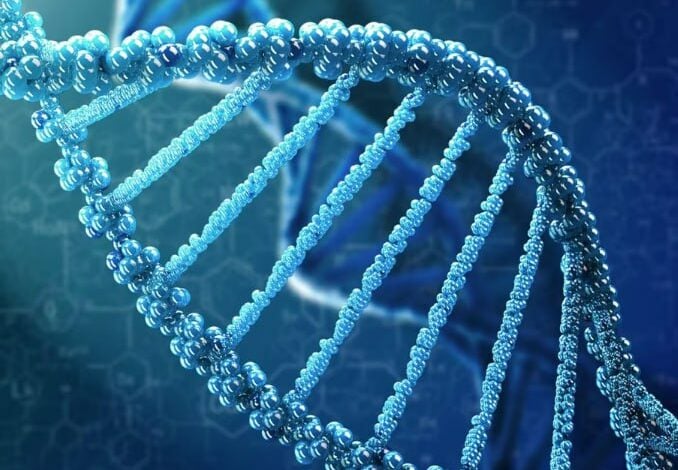 New Human Genome Map Could Transform Medicine