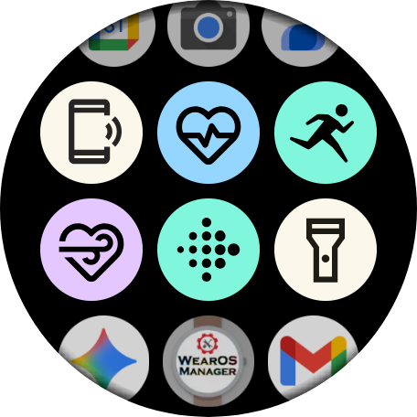 Screenshot showing the old/outgoing Fitbit icons on a Pixel Watch.