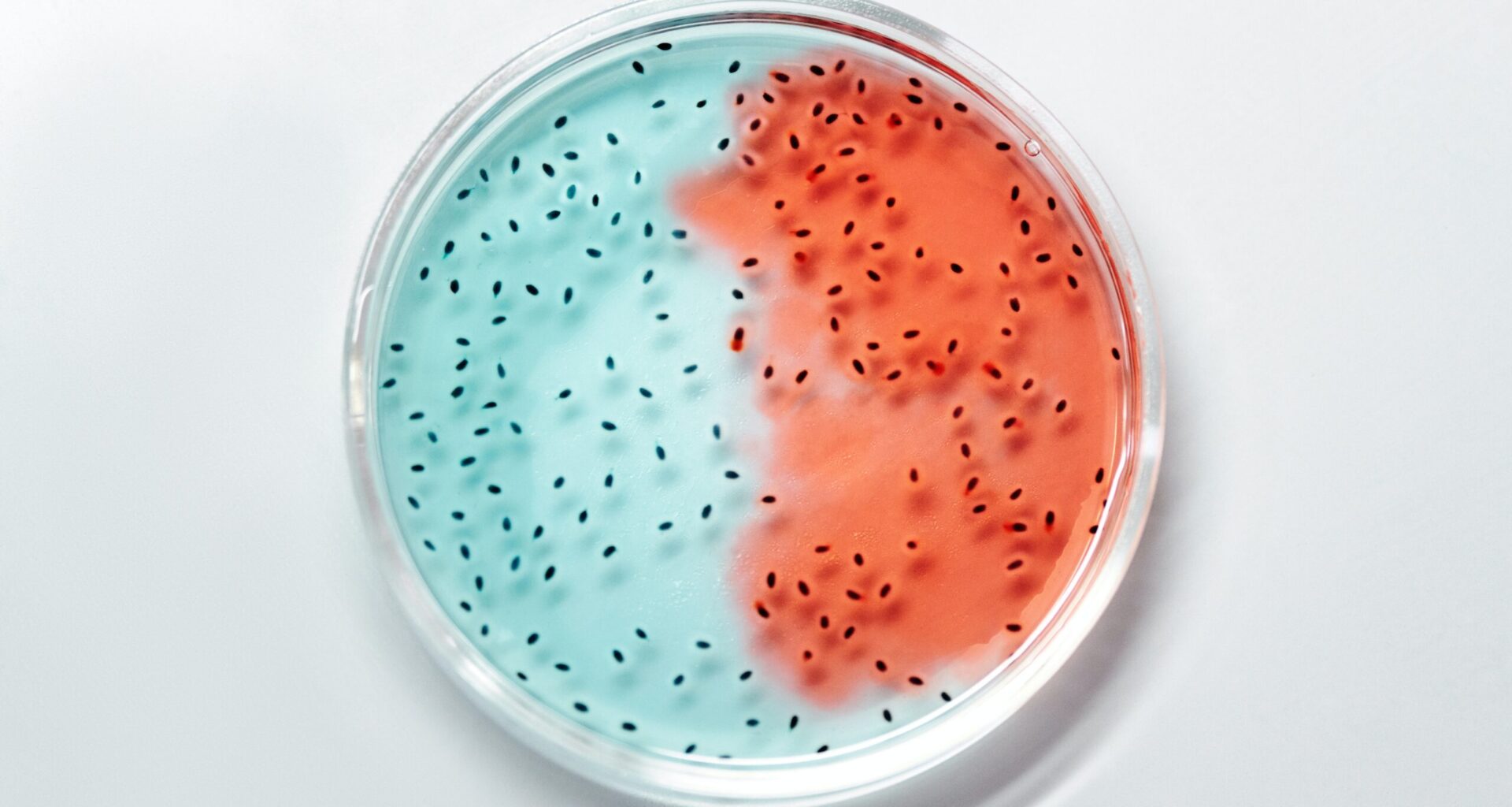 Should we not just split the Bill on gene tech?