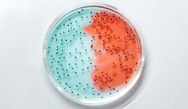 Should we not just split the Bill on gene tech?