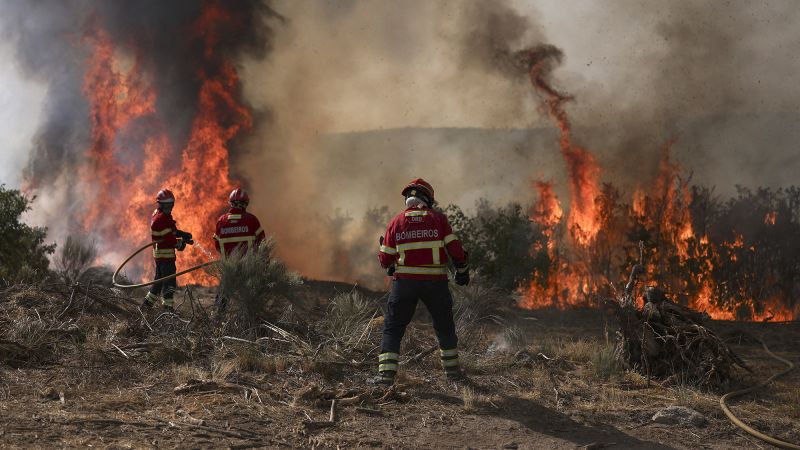‘We’re being cooked alive:’ Europe burns as temperatures soar above 100 degrees