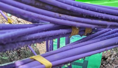 ‘Historic’ shift in broadband usage heralds expansion phase