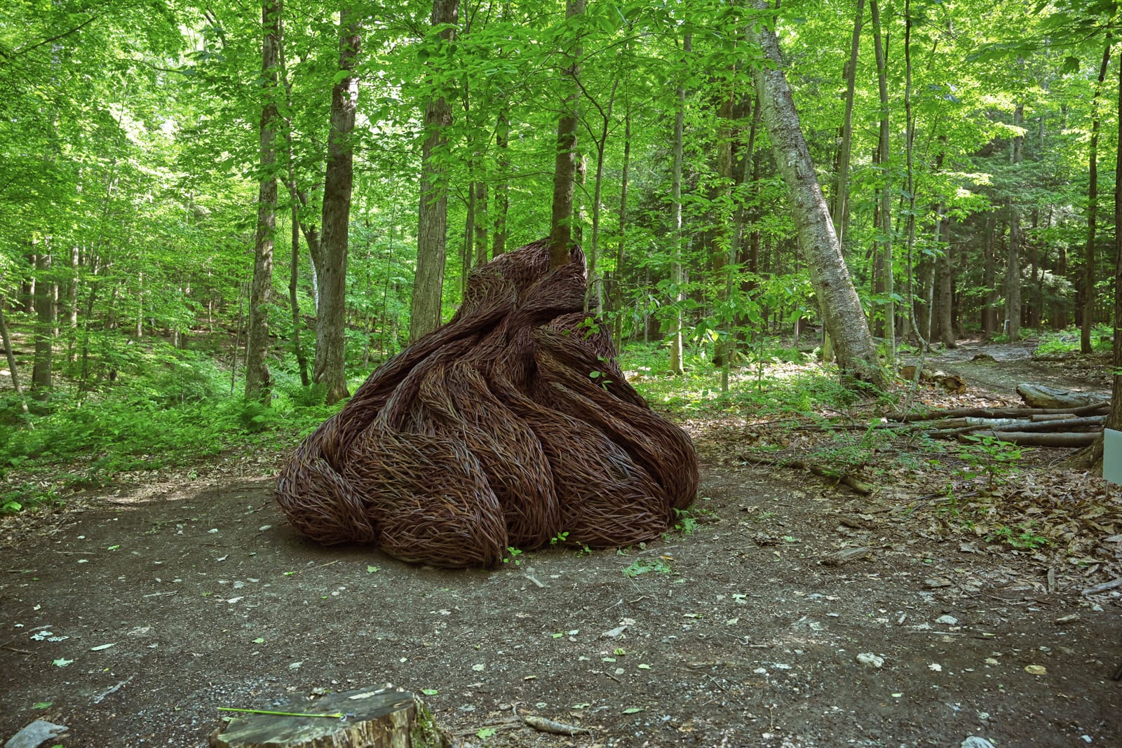 an abstract willow sculptural installation by Laura Ellen Bacon in some woods