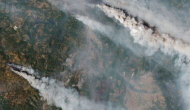 satellites show massive forest fires