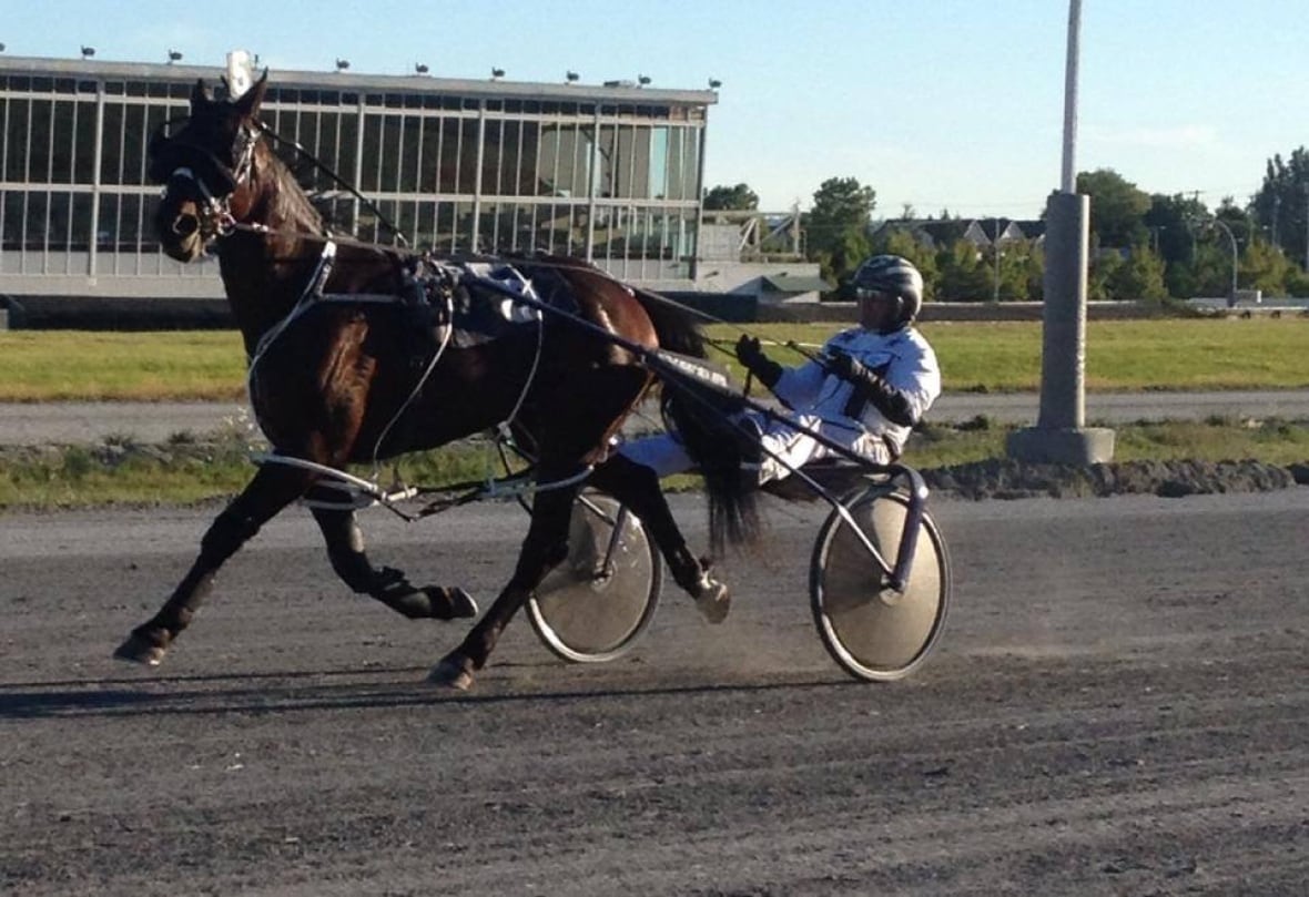 A man in a jockey outfit sits in a low buggy propelled by a horse on a dirt racetrack with a glass-walled clubhouse in the distance.