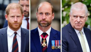 Will Prince Harry & Andrew Lose Royal Titles When William Is King?