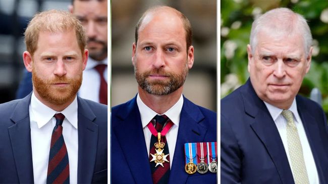 Will Prince Harry & Andrew Lose Royal Titles When William Is King?
