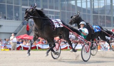 Georgian Downs to wrap up harness-racing season this weekend — then what?