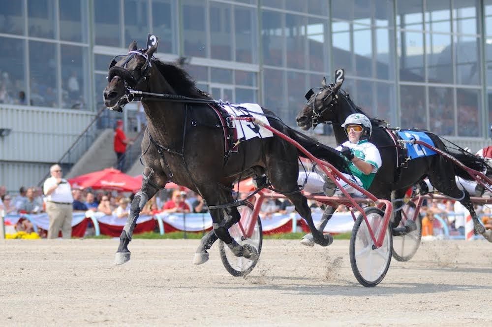 Georgian Downs to wrap up harness-racing season this weekend — then what?